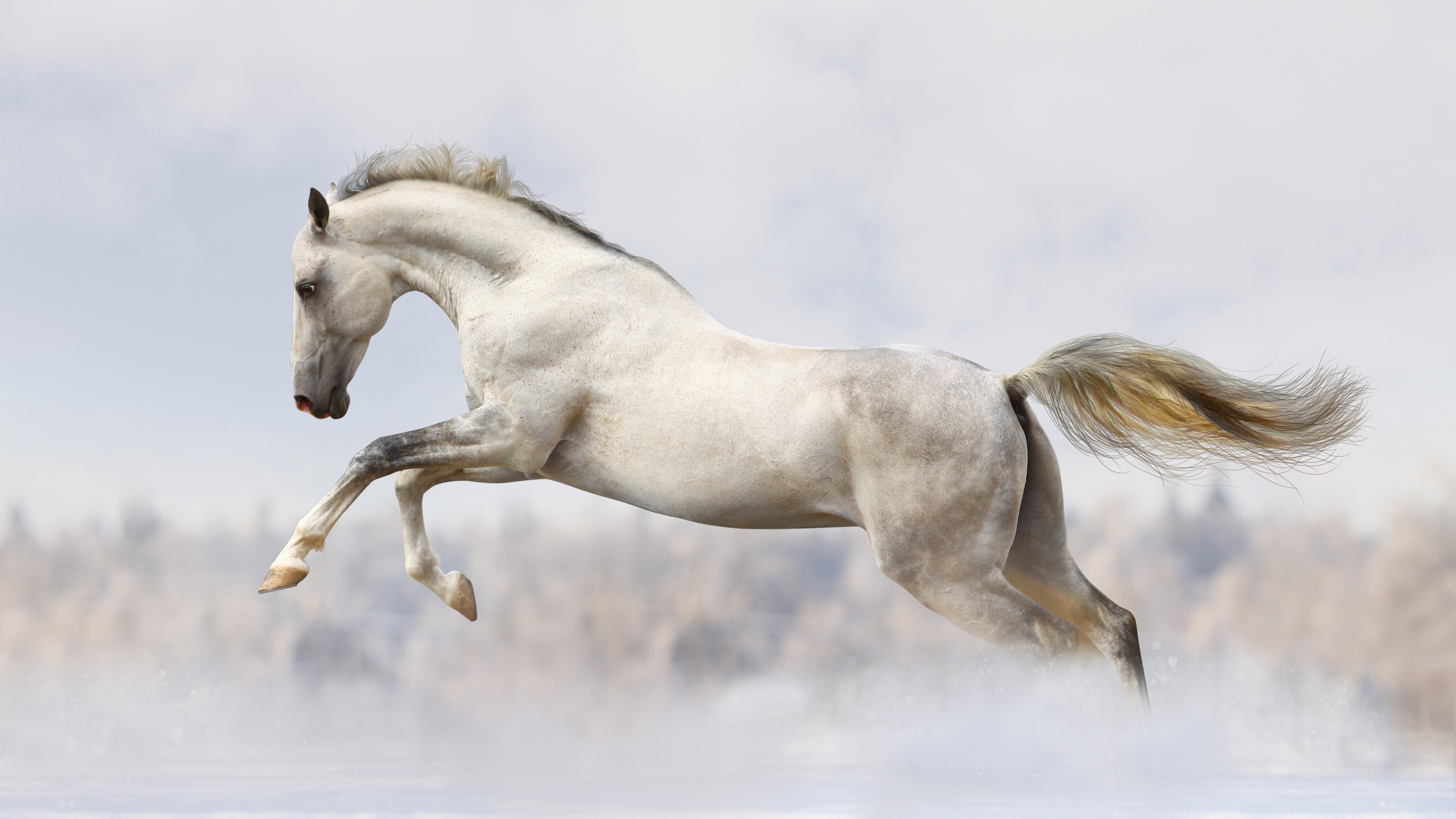 डॉ नुस्खे “”Horse POWER KIT
