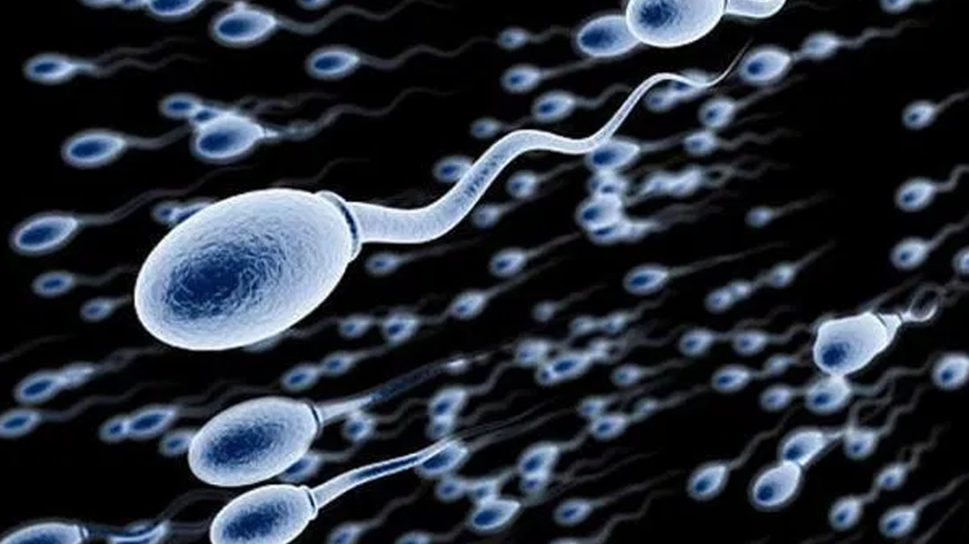 कैसे वीर्य की मात्रा बढ़ाएँ (Sperm, Shukranu ki sankhya badhayen)