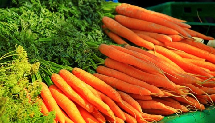 सर्दियों में  गाजर को खाने का फायदे जानकर आप हैरान हो जायगे