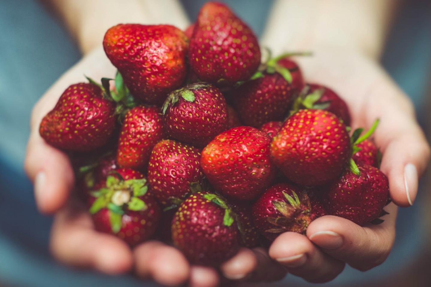 स्ट्रॉबेरी के सेवन के छह लाजवाब फायदे, विटामिन और कैल्शियम से होती है भरपूर