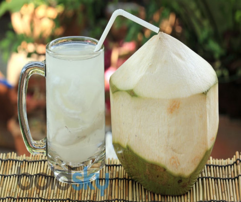 ब्लड शुगर कंट्रोल करने के लिए रोजाना पिएं नारियल पानी, ध्यान में रखें ये बातें