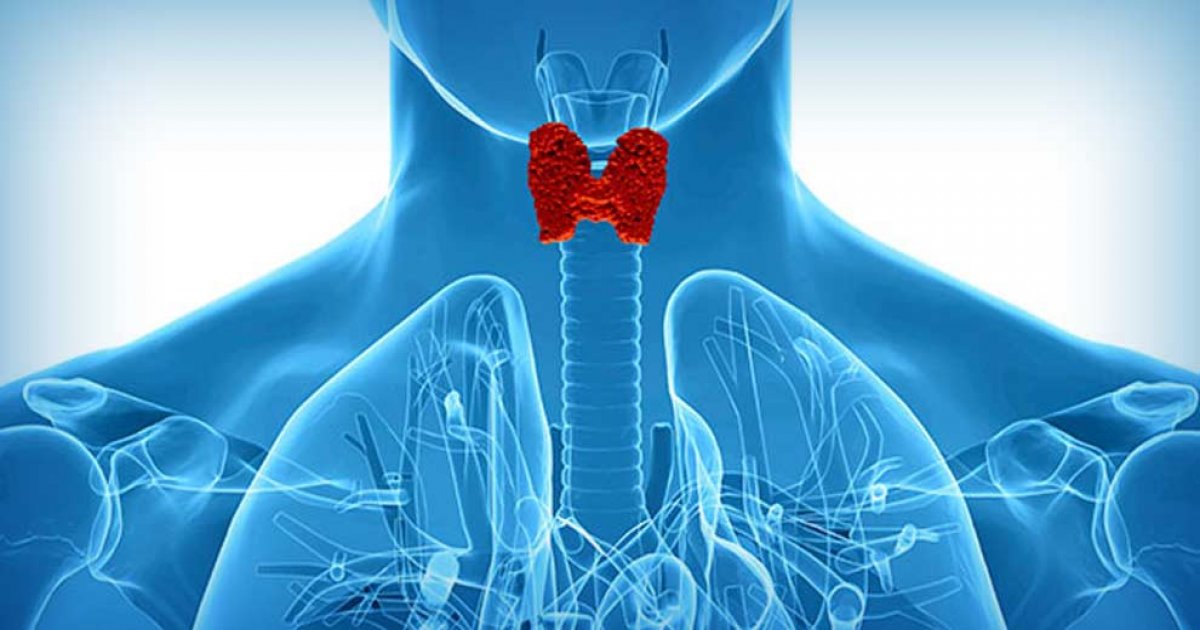 Thyroid: जड़ से खत्म करना चाहते हैं थाइरॉइड की समस्या तो इन फूड्स को जरूर खाएं